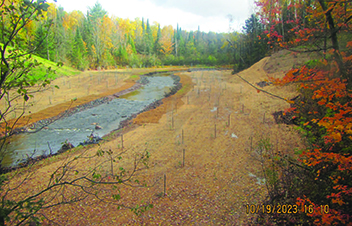A photo of a river running on a diagonal from the middle-top to lower-left with sandy banks dotted throughout with new plantings. Trees line the farther edges of the riverbanks.